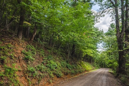 Offering #3 - Wooded Recreational Land for Sale in Riner VA - image 32