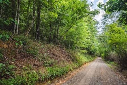 Offering #3 - Wooded Recreational Land for Sale in Riner VA - image 29
