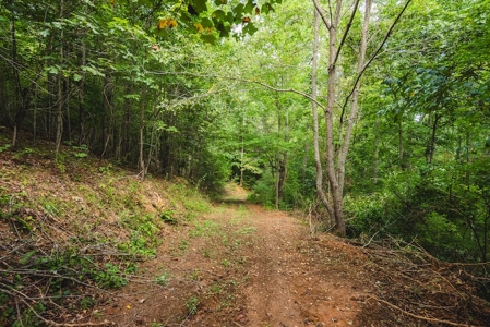 Offering #3 - Wooded Recreational Land for Sale in Riner VA - image 19