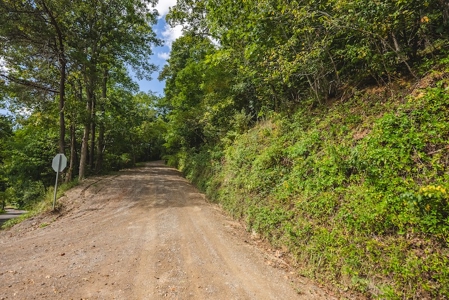 Offering #3 - Wooded Recreational Land for Sale in Riner VA - image 11