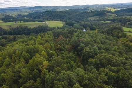 Offering #3 - Wooded Recreational Land for Sale in Riner VA - image 7