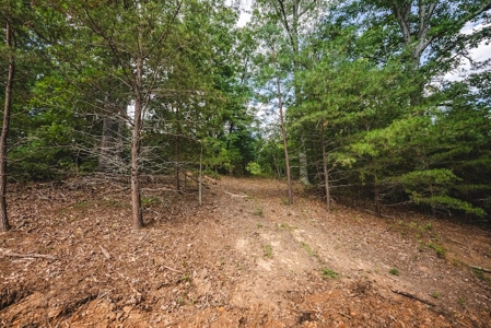 Offering #3 - Wooded Recreational Land for Sale in Riner VA - image 17