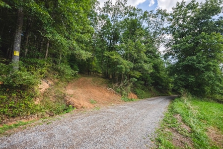 Offering #3 - Wooded Recreational Land for Sale in Riner VA - image 28