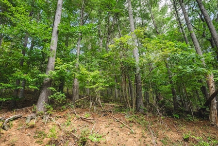 Offering #3 - Wooded Recreational Land for Sale in Riner VA - image 34