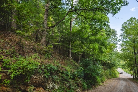 Offering #3 - Wooded Recreational Land for Sale in Riner VA - image 36