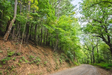 Offering #3 - Wooded Recreational Land for Sale in Riner VA - image 35