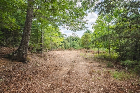 Offering #3 - Wooded Recreational Land for Sale in Riner VA - image 14