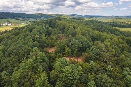 Offering #3 - Wooded Recreational Land for Sale in Riner VA - image 5