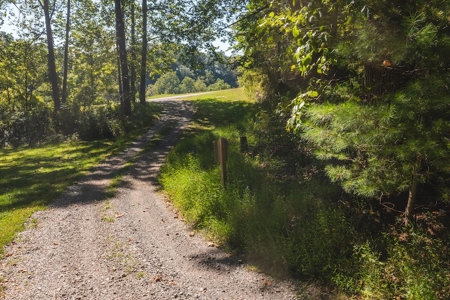 Offering #4 - Wooded Land for Sale in Riner VA - image 15