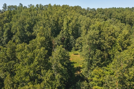 Offering #4 - Wooded Land for Sale in Riner VA - image 4
