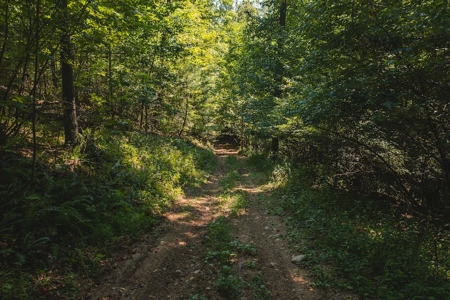 Offering #4 - Wooded Land for Sale in Riner VA - image 6