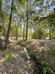 East TX Recreational Ranch for Sale Near Arp in Smith County - image 37