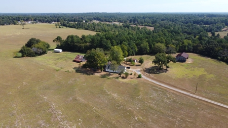 East TX Recreational Ranch for Sale Near Arp in Smith County - image 13