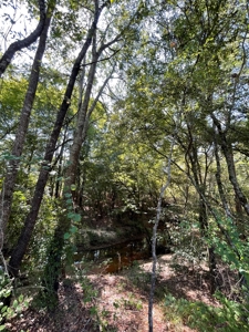 East TX Recreational Ranch for Sale Near Arp in Smith County - image 36
