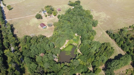 East TX Recreational Ranch for Sale Near Arp in Smith County - image 4