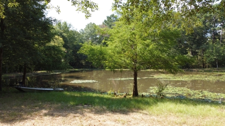 East TX Recreational Ranch for Sale Near Arp in Smith County - image 17