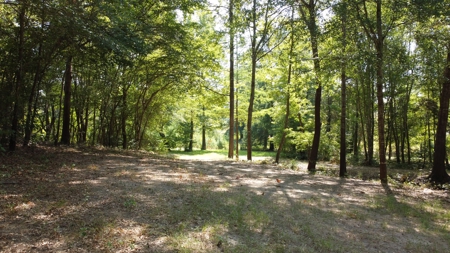 East TX Recreational Ranch for Sale Near Arp in Smith County - image 21