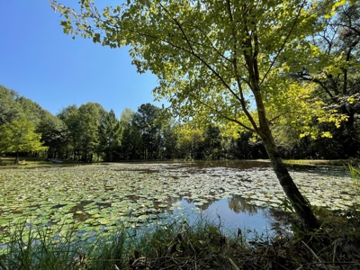 East TX Recreational Ranch for Sale Near Arp in Smith County - image 32