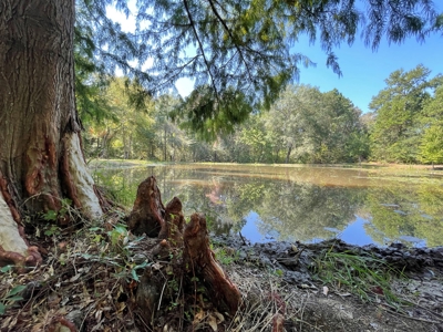 East TX Recreational Ranch for Sale Near Arp in Smith County - image 40