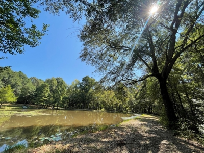 East TX Recreational Ranch for Sale Near Arp in Smith County - image 34