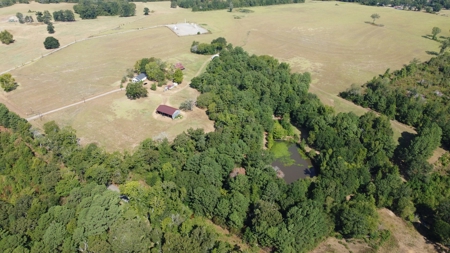 East TX Recreational Ranch for Sale Near Arp in Smith County - image 3