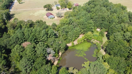 East TX Recreational Ranch for Sale Near Arp in Smith County - image 6