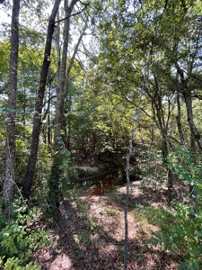 East TX Recreational Ranch for Sale Near Arp in Smith County - image 35