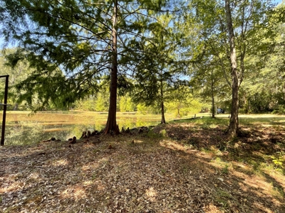 East TX Recreational Ranch for Sale Near Arp in Smith County - image 39