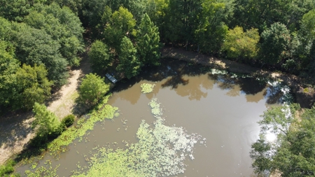East TX Recreational Ranch for Sale Near Arp in Smith County - image 25