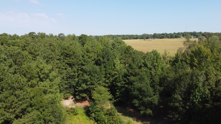 East TX Recreational Ranch for Sale Near Arp in Smith County - image 26