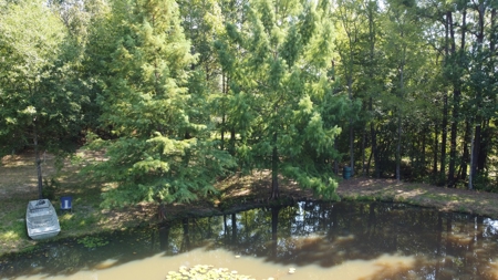 East TX Recreational Ranch for Sale Near Arp in Smith County - image 28