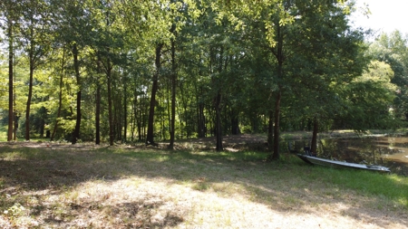 East TX Recreational Ranch for Sale Near Arp in Smith County - image 19