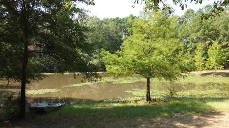 East TX Recreational Ranch for Sale Near Arp in Smith County - image 23