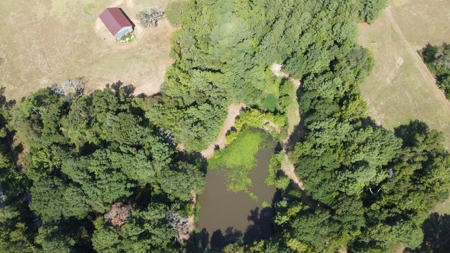 East TX Recreational Ranch for Sale Near Arp in Smith County - image 5