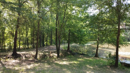 East TX Recreational Ranch for Sale Near Arp in Smith County - image 22