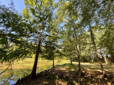 East TX Recreational Ranch for Sale Near Arp in Smith County - image 38