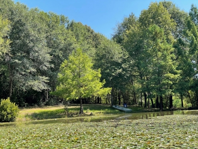 East TX Recreational Ranch for Sale Near Arp in Smith County - image 33
