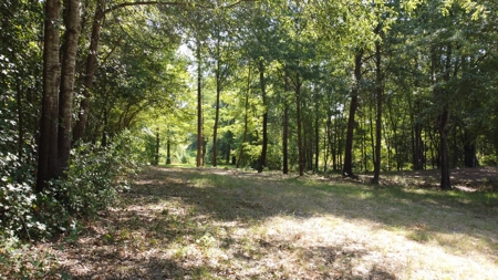East TX Recreational Ranch for Sale Near Arp in Smith County - image 20
