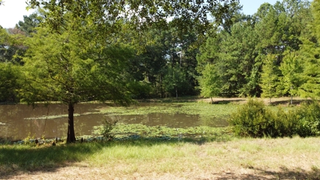 East TX Recreational Ranch for Sale Near Arp in Smith County - image 18