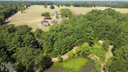 East TX Recreational Ranch for Sale Near Arp in Smith County - image 27