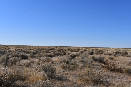 Eastern Oregon Acreage - image 4