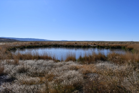 Eastern Oregon Acreage - image 1