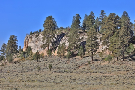 Cabins, Hunting, Acreage, Ponds, Public Land, For Sale Colo - image 29