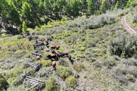 Cabins, Hunting, Acreage, Ponds, Public Land, For Sale Colo - image 2