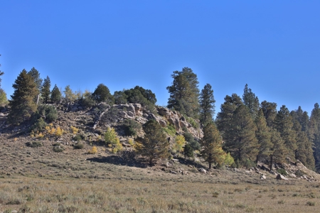 Cabins, Hunting, Acreage, Ponds, Public Land, For Sale Colo - image 33