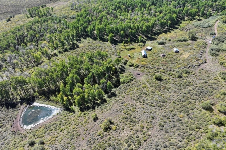 Cabins, Hunting, Acreage, Ponds, Public Land, For Sale Colo - image 22
