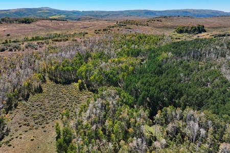 Cabins, Hunting, Acreage, Ponds, Public Land, For Sale Colo - image 23