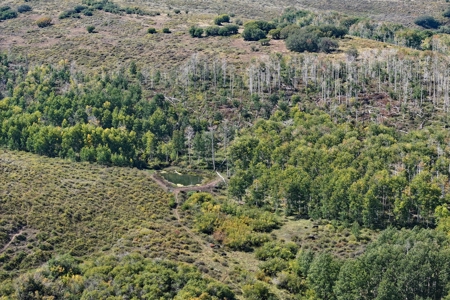 Cabins, Hunting, Acreage, Ponds, Public Land, For Sale Colo - image 26