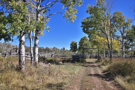 Cabins, Hunting, Acreage, Ponds, Public Land, For Sale Colo - image 4
