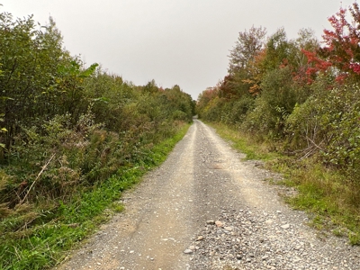 Maine Timberland Lot for Sale - image 1